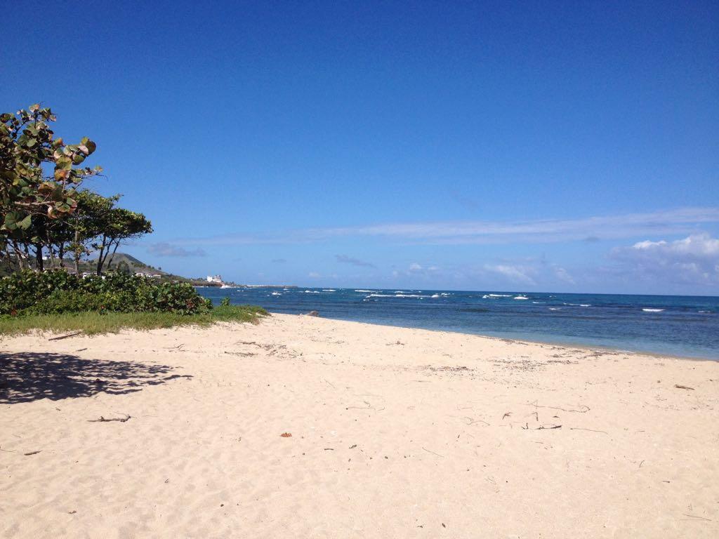 Mar Azul 401 Lägenhet Puerto Plata Exteriör bild